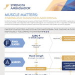 Infographic muscle matters