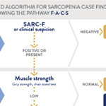 Infographic muscle matters